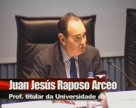 Juan Jes&uacute;s Raposo Arceo, Profesor titular da Universidade da Coru&ntilde;a. 